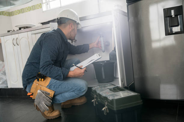 Best Local Plumber Services  in Panhandle, TX
